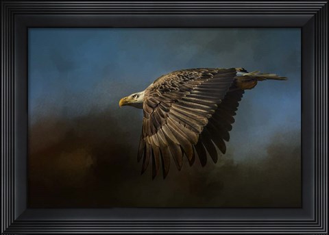 Framed Storm Chaser Bald Eagle Print