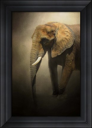 Framed Elephant Emerges Print