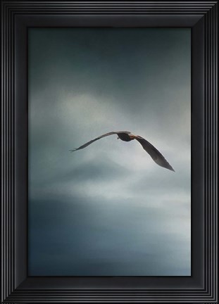 Framed Through The Rolling Storm Bald Eagle Print