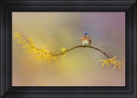 Framed Little Blue In The Garden Print