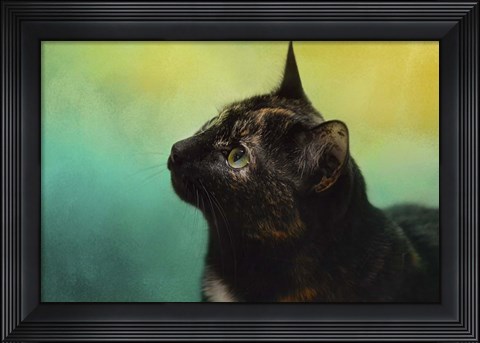 Framed By The Light Of The Sea Print