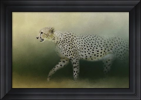 Framed Cheetah On The Prowl Print