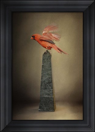 Framed Dancing On Marble Print