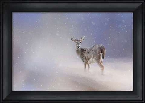 Framed Doe In The Snow Print