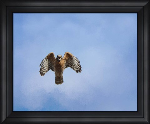 Framed Raptors Warning Print