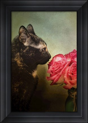 Framed Stop And Smell The Flowers Print