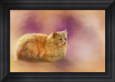 Framed Warmth Of A Perfect Day Print