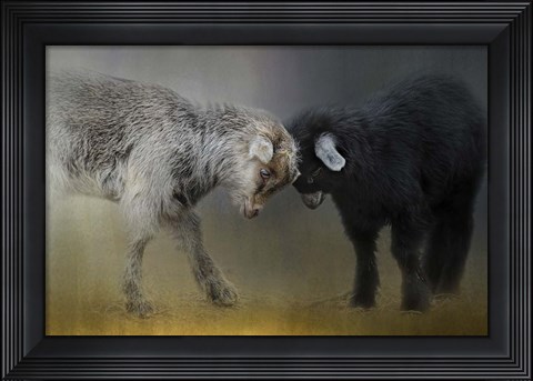 Framed Meeting Of The Minds Print