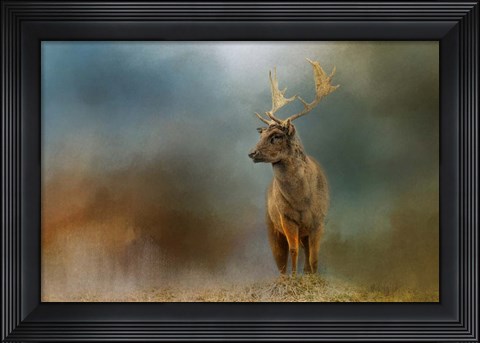 Framed Painterly Fallow Buck Print