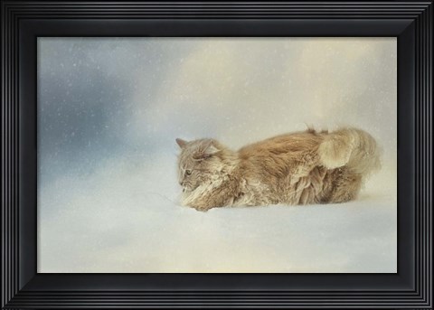 Framed Snow Diving Print