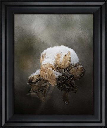 Framed Waiting On Spring Print