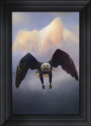 Framed Mountain Flight Print