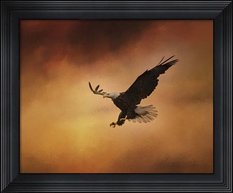 Framed No Fear Print