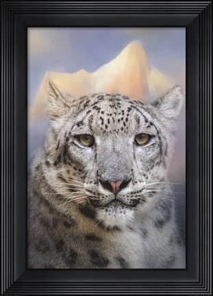 Framed Snow Leopard At The Mountain Print