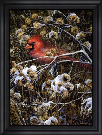 Framed Cardinal &amp; Thistles Print