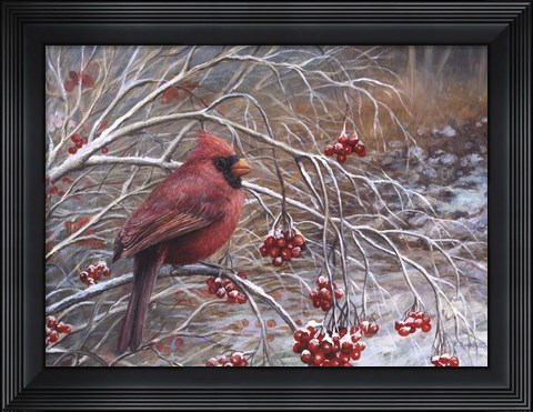 Framed Cardinal and Berries Print