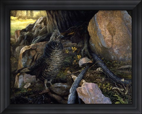 Framed Ruffed Grouse &amp; Trout Lilies Print