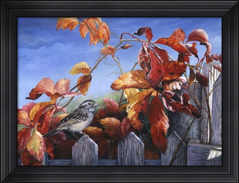 Framed White Throated Sparrow Print