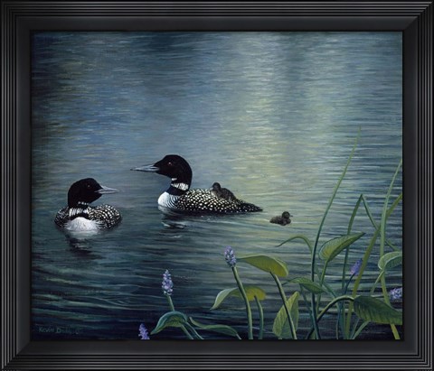 Framed Virginias Loons Print