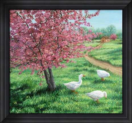 Framed Cherry Blossom Time Print