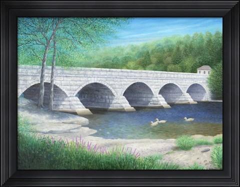 Framed Serene Waters Print