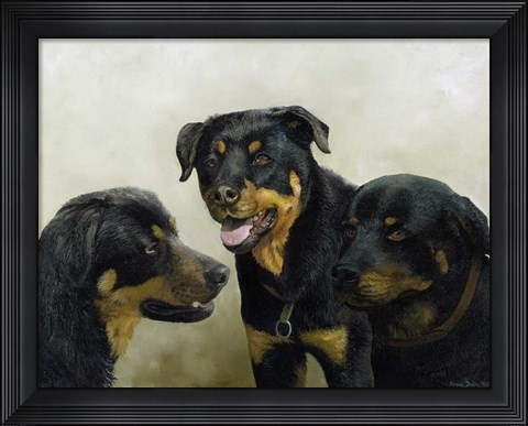 Framed Grizzly, Whyler, Thor Print