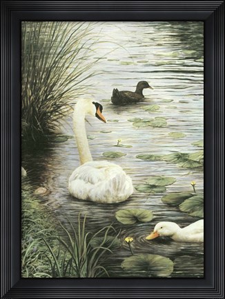 Framed In The Pond Print