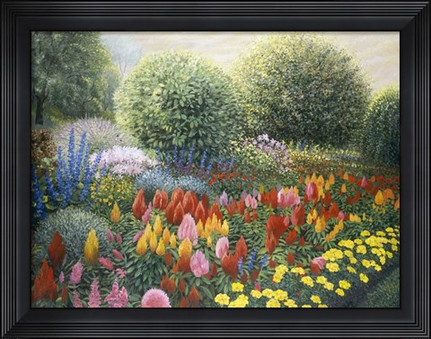 Framed Ornamental Garden Print