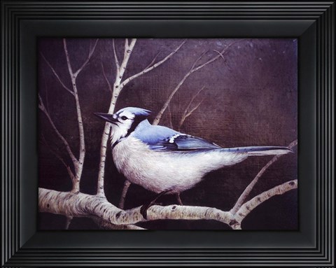 Framed Blue Jay Print