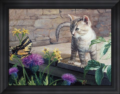 Framed Kitten &amp; Butterfly Print