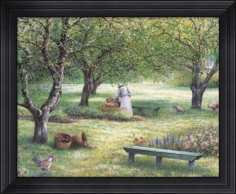 Framed Apple Orchid Print