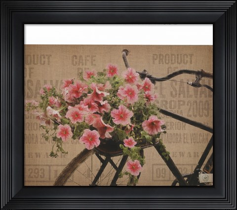 Framed Globe Cycle Print