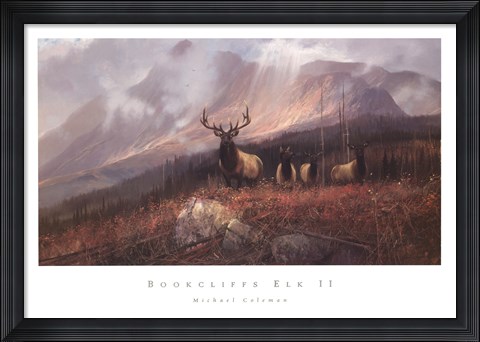 Framed Bookcliffs Elk II Print