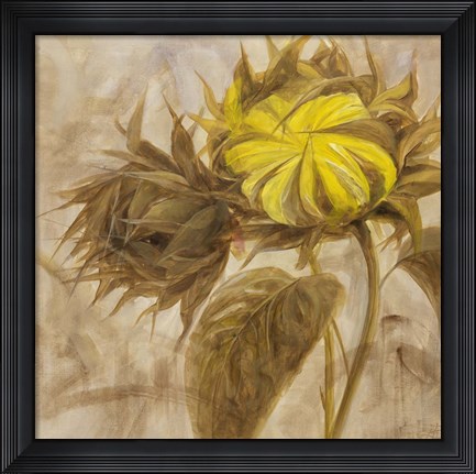 Framed Sunflower II Print
