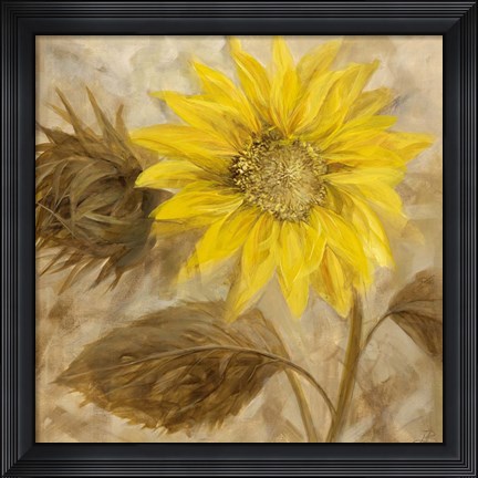 Framed Sunflower III Print