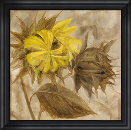 Framed Sunflower IV Print