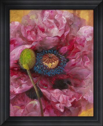 Framed Poppies II Print