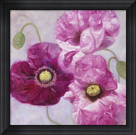 Framed Purple Poppies I Print