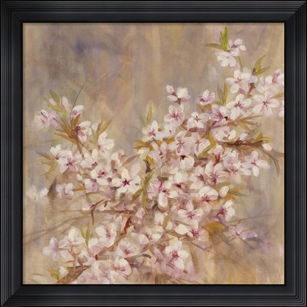 Framed Cherry Blossom I Print