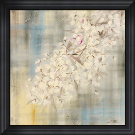 Framed White Cherry Blossom II Print