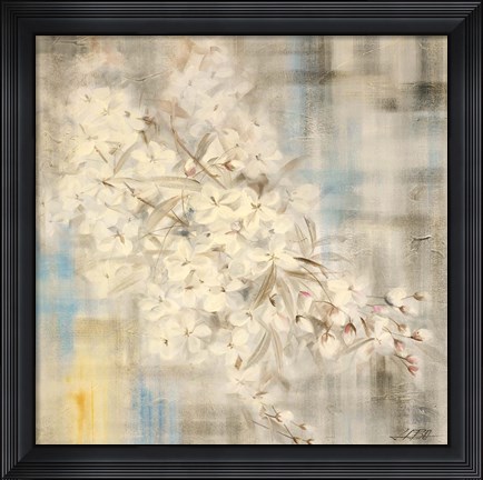 Framed White Cherry Blossom III Print