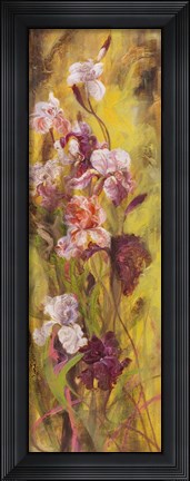 Framed Bearded Iris II Print