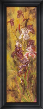 Framed Bearded Iris III Print