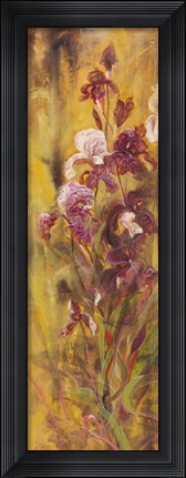Framed Bearded Iris IV Print