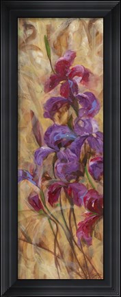 Framed Bearded Iris V Print