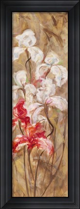 Framed Bearded Iris VI Print