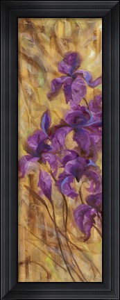 Framed Bearded Iris VII Print