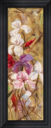 Framed Bearded Iris VIII Print