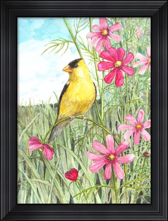 Framed Yellow Finch Cosmos Print