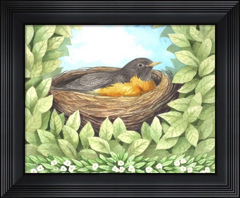 Framed Robin Print